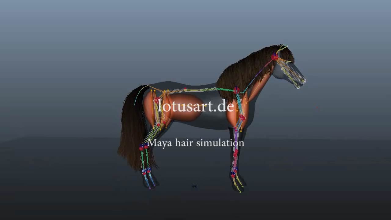 Maya_Pferd_Tier_Hair_Muscle_Simulation Maya_Pferd_Tier_Hair_Muscle_Simulation