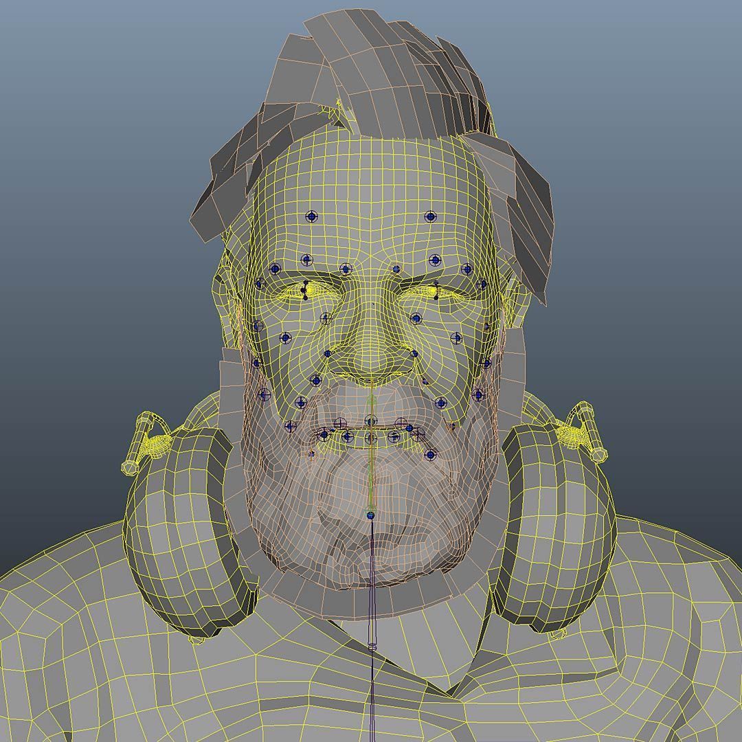 anno_3d_character_wireframe_face_rigging